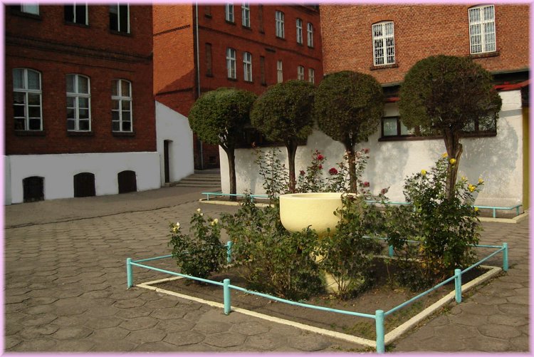 szkola.jpg