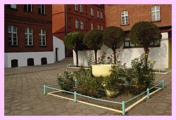 szkola.jpg
