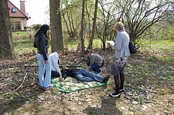 DSC_7517.JPG