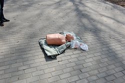 DSC_7533.JPG
